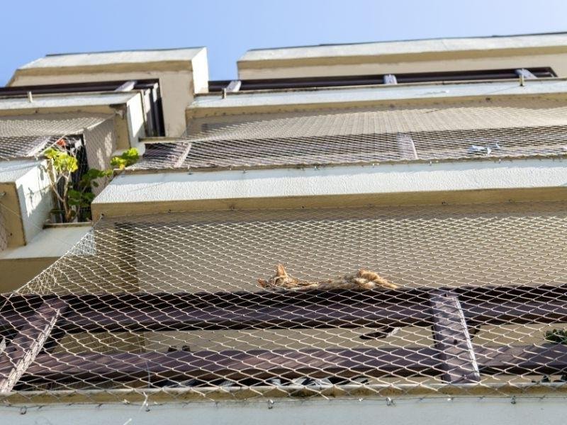 Rede de proteção de alta resistência em Feu Rosa Serra, Vitória