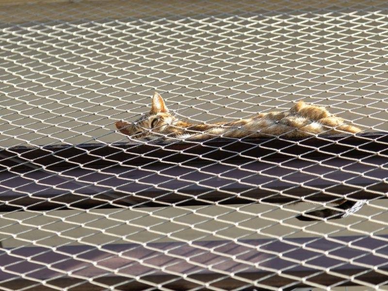 Garanta a segurança de crianças com tela de proteção em Fundão Centro Fundão, Vitória